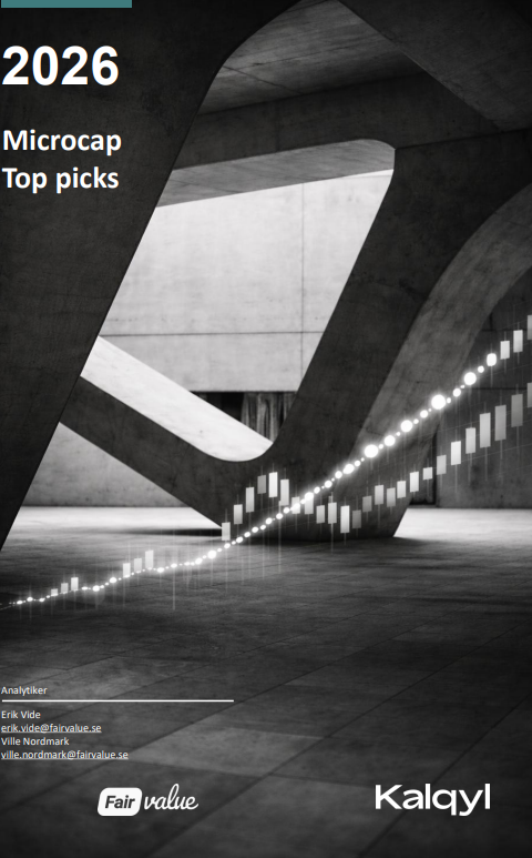 Microcap Top Picks 2026