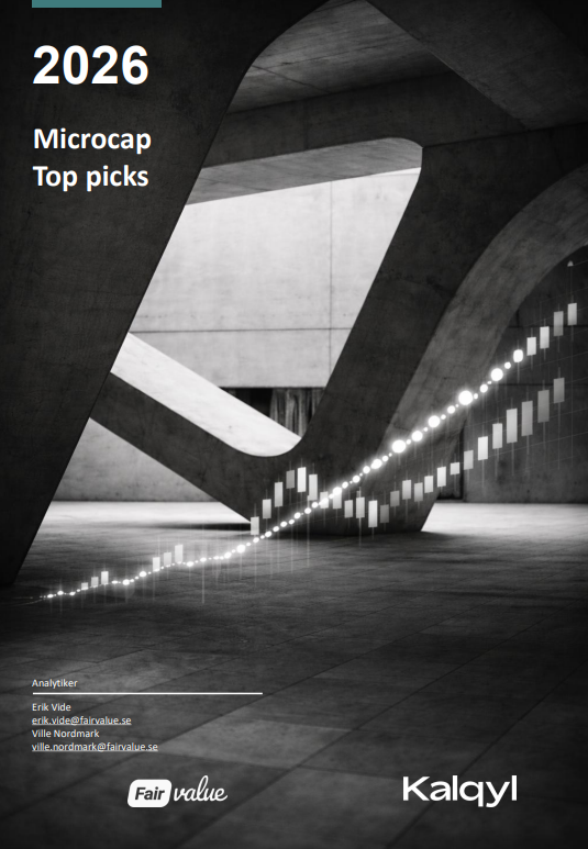 Microcap Top Picks 2026