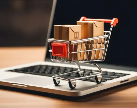 Sektorrapport: E-handel